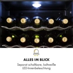 Beersafe XL Onyx Kühlschrank 60 Liter 4 Böden Panoramaglastür -Küchenmaschinen Verkäufe 10032871 de 0006 logo