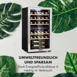Vinamour 29 Duo Weinkühlschrank 2 Zonen 80L/29 Flaschen 5-22°C Touch -Küchenmaschinen Verkäufe 10033083 de 0006 logo