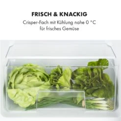 Big Daddy Cool Kühl-Gefrierkombination 61/25 Liter 2 Ebenen Edelstahl -Küchenmaschinen Verkäufe 10034005 de 0005 logo