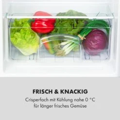 Cool Cousin Kühl-Gefrier-Kombination 70/11 Liter 40 DB -Küchenmaschinen Verkäufe 10034547 de 0006 logo