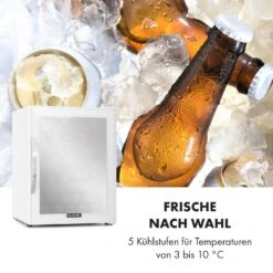 Beersafe XL Quartz Kühlschrank 60 Liter 4 Böden Panoramaglastür -Küchenmaschinen Verkäufe 10034929 de 0005 logo