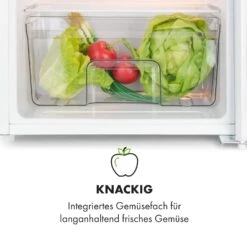 Spitzbergen Uni Kühlschrank 91 Liter 10-Liter-Gefrierfach 2 Böden -Küchenmaschinen Verkäufe 10035192 de 0006 logo