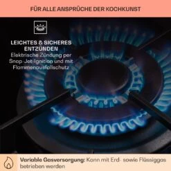 Alchemist Gaskochfeld 1 Wokbrenner Glaskeramik -Küchenmaschinen Verkäufe 10036335 de 0005 usp