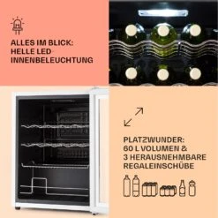 Coachella 60 Kühlschrank 60 Liter WiFi-Funktion Hintergrundbeleuchtung -Küchenmaschinen Verkäufe 10045042 de 0004 usp